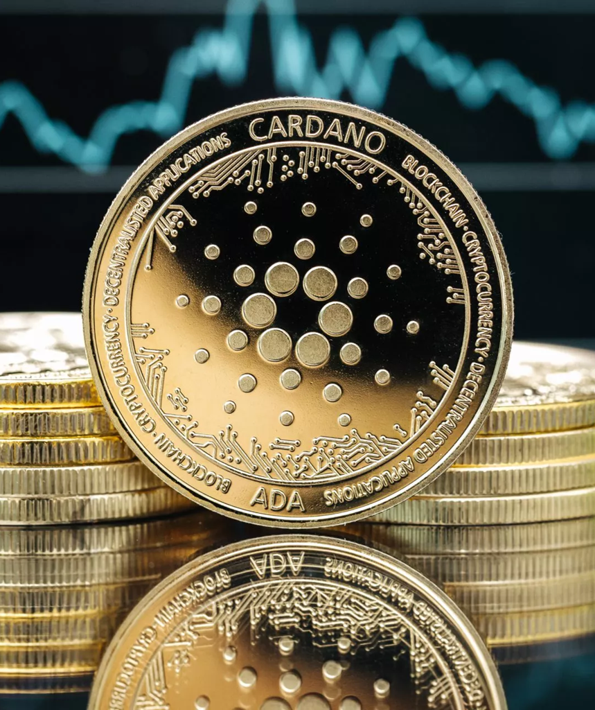 Cardano coin